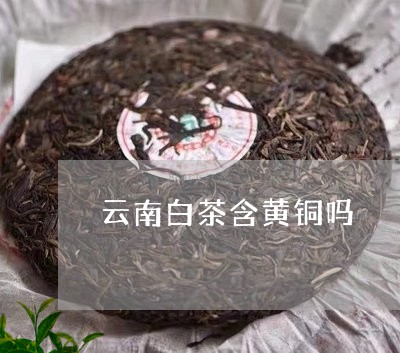 云南白茶含黄铜吗/2023061409795