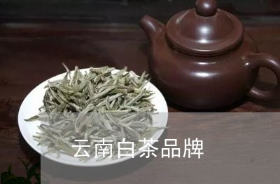 云南白茶品牌/2023051383937