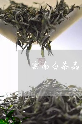 云南白茶品牌推荐/2023061404047