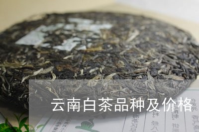 云南白茶品种及价格/2023121660391