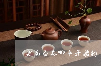 云南白茶哪年开始的/2023081250625