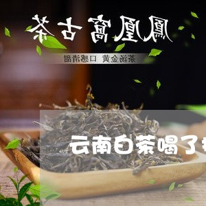 云南白茶喝了拉肚子/2023071475827