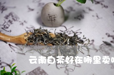 云南白茶好在哪里卖呀/2023092737412