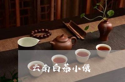 云南白茶小便/2023051296040