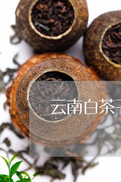 云南白茶干茶/2023051238392