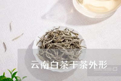 云南白茶干茶外形/2023061474718