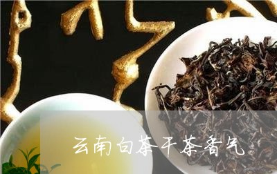 云南白茶干茶香气/2023061477049