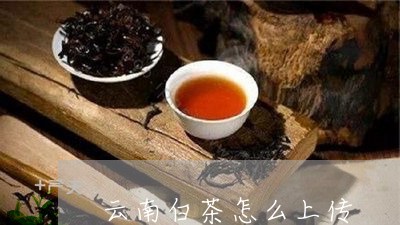 云南白茶怎么上传/2023061498140