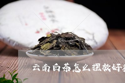 云南白茶怎么摆放好卖/2023092783938