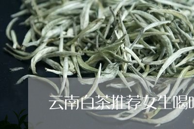 云南白茶推荐女生喝吗/2023092796049