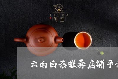 云南白茶推荐店铺平价/2023092736368