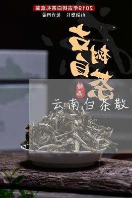 云南白茶散茶标准是/2023121671825