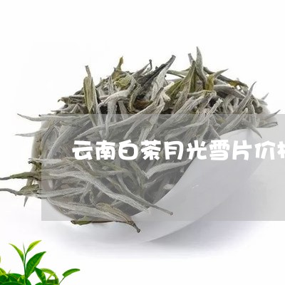 云南白茶月光雪片价格/2023092728283