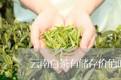 云南白茶有储存价值吗/2023092739595