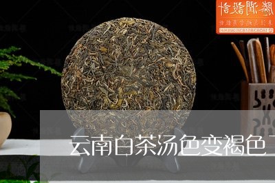 云南白茶汤色变褐色了/2023092775160