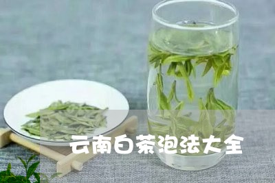 云南白茶泡法大全/2023061450673