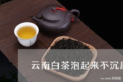 云南白茶泡起来不沉底/2023092751504