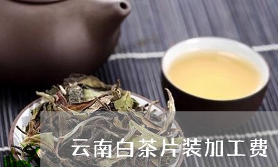 云南白茶片装加工费/2023081298260