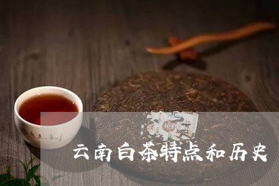 云南白茶特点和历史/2023121720683