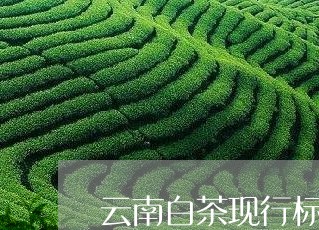 云南白茶现行标准是/2023081219683