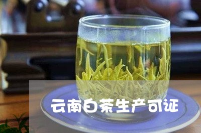 云南白茶生产可证/2023121728382