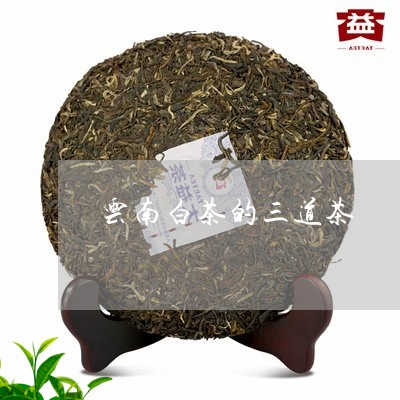 云南白茶的三道茶/2023061492715