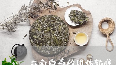 云南白茶的团体标准/2023071425049