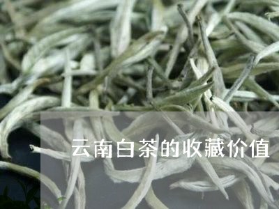 云南白茶的收藏价值/2023121612705