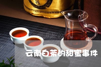 云南白茶的甜蜜事件/2023071459464