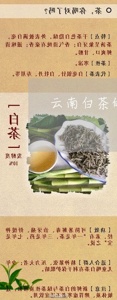 云南白茶的种类大全/2023121626948