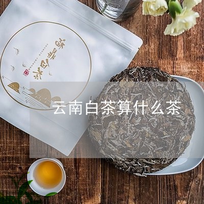 云南白茶算什么茶/2023061425159