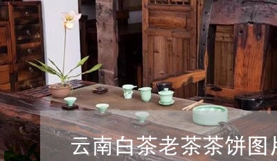 云南白茶老茶茶饼图片/2023092747371