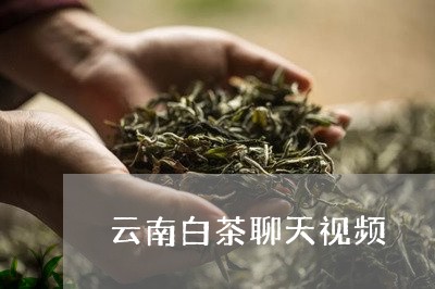 云南白茶聊天视频/2023061442724