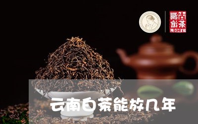 云南白茶能放几年/2023061475169