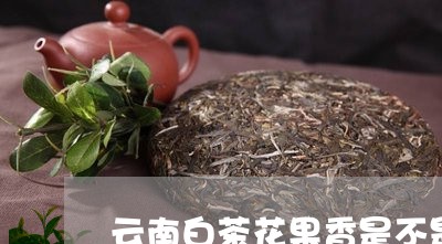 云南白茶花果香是不是加东西了/2023073182046