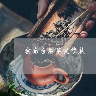 云南白茶芽尖炒熟/2023061488161