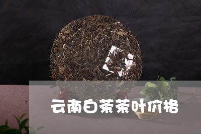 云南白茶茶叶价格/2023061479374