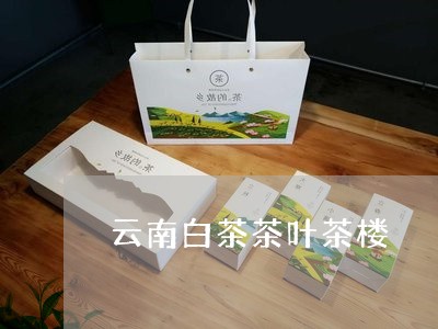 云南白茶茶叶茶楼/2023061489572