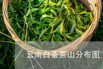 云南白茶茶山分布图/2023071488582