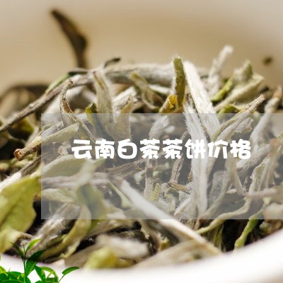 云南白茶茶饼价格/2023061401694