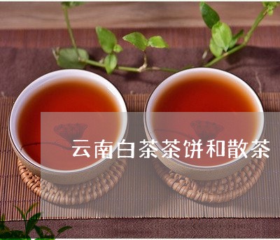 云南白茶茶饼和散茶/2023121616158