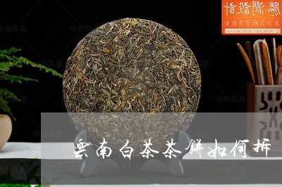 云南白茶茶饼如何拆/2023121619392
