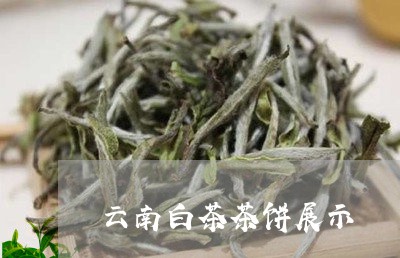 云南白茶茶饼展示/2023061474836