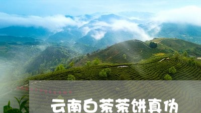 云南白茶茶饼真伪/2023061498585