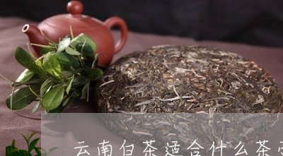 云南白茶适合什么茶壶/2023092782927