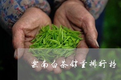 云南白茶销量排行榜/2023121682716