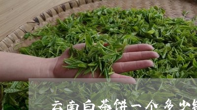 云南白茶饼一个多少钱/2023092728591