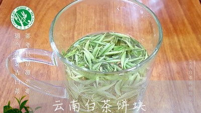 云南白茶饼块/2023051230795