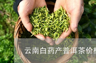 云南白药产普洱茶价格/2023092889251