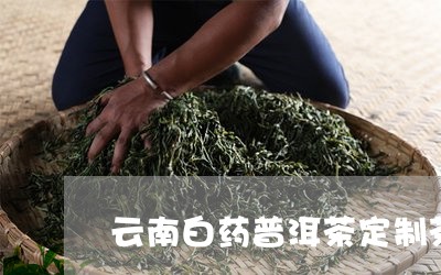 云南白药普洱茶定制茶/2023100706060